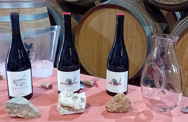 Madrid Wine Tour: Visit Two Wineries with Tastings