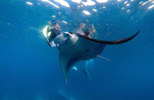 PRIVATE Nusa Penida on Boat Snorkeling & Island Tour (INCLUSIVE)