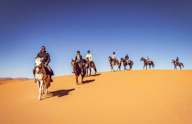 Whispers of the Dunes: A Doha Horse Riding Experience