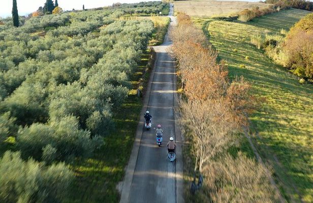 Half Day Vespa Countryside Tour and Tastings in Istria