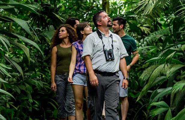 Rio Celeste: Hike, Coffee & Sloths Lovers 