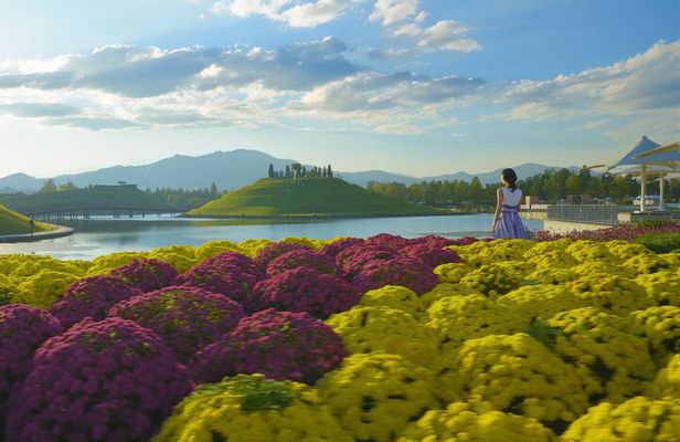 Suncheon and Yeosu Daily Private Tour 