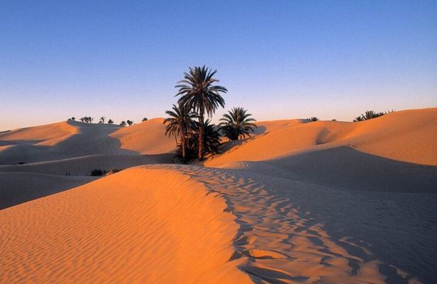 3 Days Between Bedouin Tent and Berber Gite in the Tunisian Desert