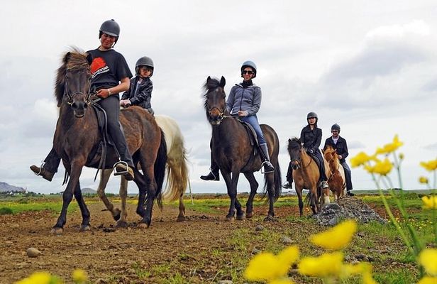One-Hour Horseback Riding Tour in the Icelandic Countryside