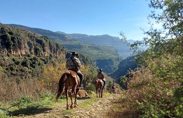 Lebanon Mountains Horseback Riding From Beirut