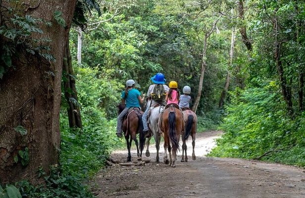 Zipline Adrenaline Combo Package Tour in Guanacaste
