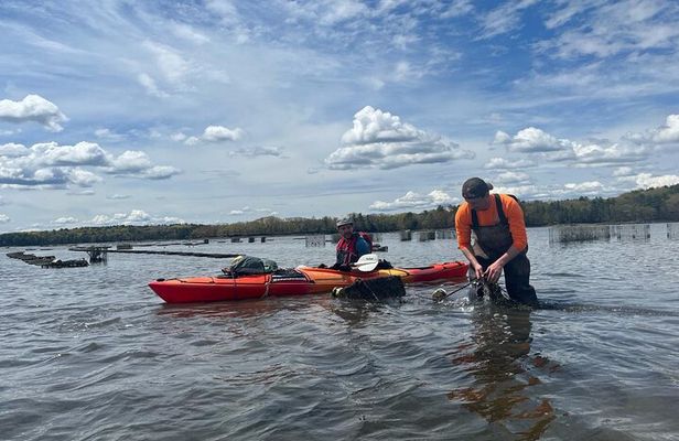 Oyster Tasting and Kayak Tour