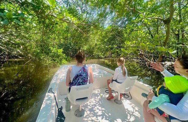 Everglades Mangrove Wilderness Boat Tour