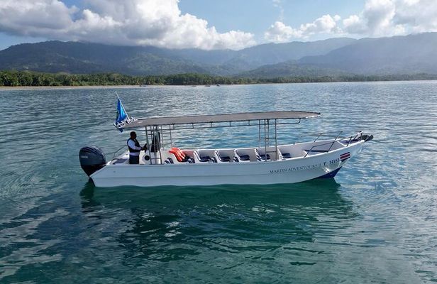 Bahia Ballena Whale and Dolphin Tour - Morning