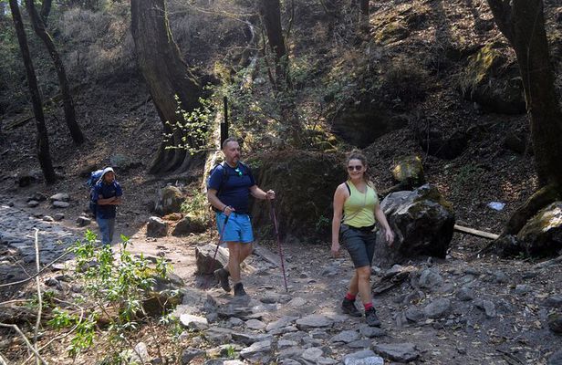 7 Day Trekking Tour from Kathmandu to Langtang Valley