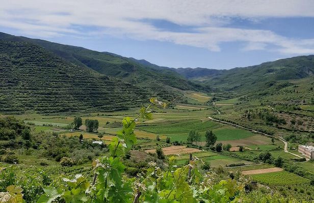 Berat 4x4 Off-Road and Vineyard Wine Tasting