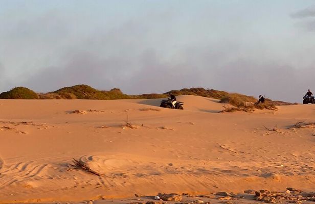 1 Hour Quad Bike Excursion in Morocco