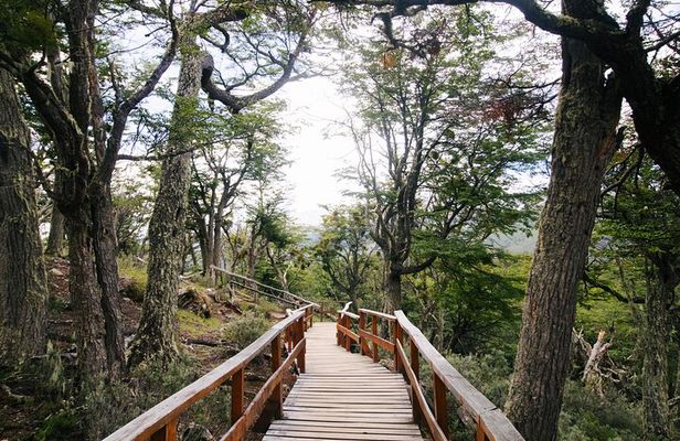Tierra Del Fuego National Park Tour