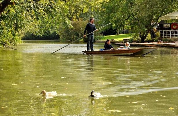 Oxford : Punting - Oxbridge Tours