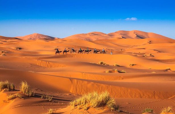 Two Days and One Night Desert Adventure from Marrakech to Zagora