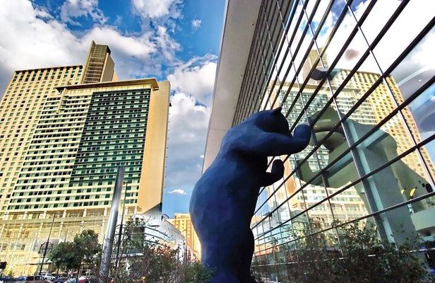 Denver City Highlights Tour