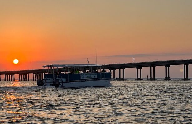 Sunset Dolphin Cruise