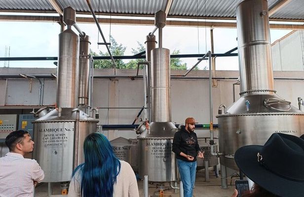 Guadalajara Tequila Tastings Tour
