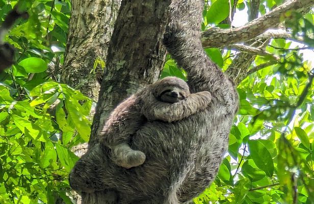 Private Trip to Waterfalls and Beaches in Costa Rica