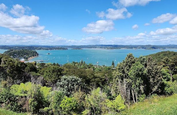 Bay of Islands Scenic Tour