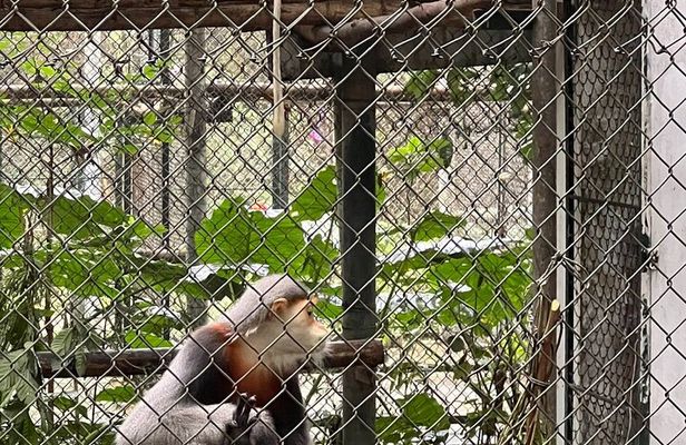 2 Day Private Tour in Tam Coc–Cuc Phuong-Van Long Nature Reserve