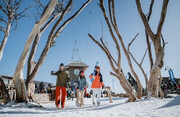 Snowy Escapes Tour Adventure in Mount Buller Alpine Australia