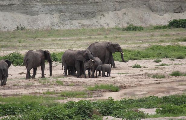 2-Day Mid-Range Safari to Tarangire & Ngorongoro Crater