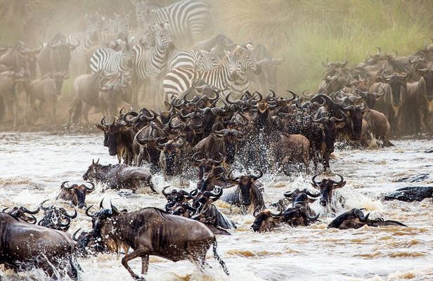 From Plains to Crater: 3-Day Midrange Safari in Northern Tanzania