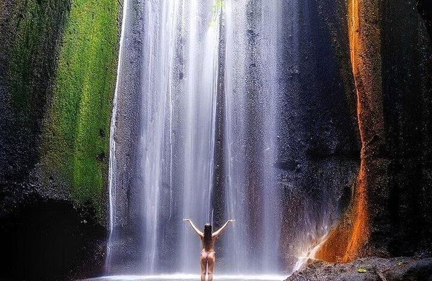 Discover Ubud Top Attractions: Rice Terrace & Waterfalls Tour