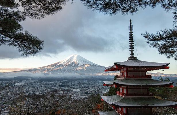 Mt FUJI Day Tour with Private Car and English Speaking Guide