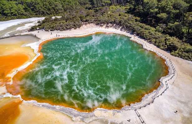 Hobbiton, Rotorua and Waiotapu Small Group Tour from Auckland