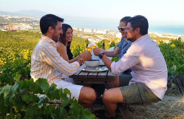 Manilva Oceanfront Wine Experience in the Marbella Area