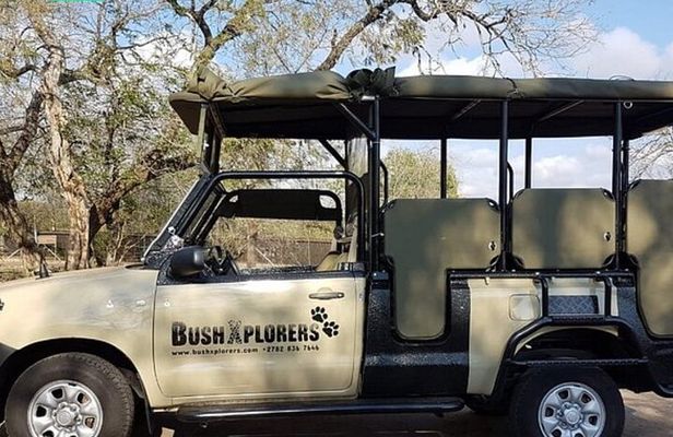 Half day game drive