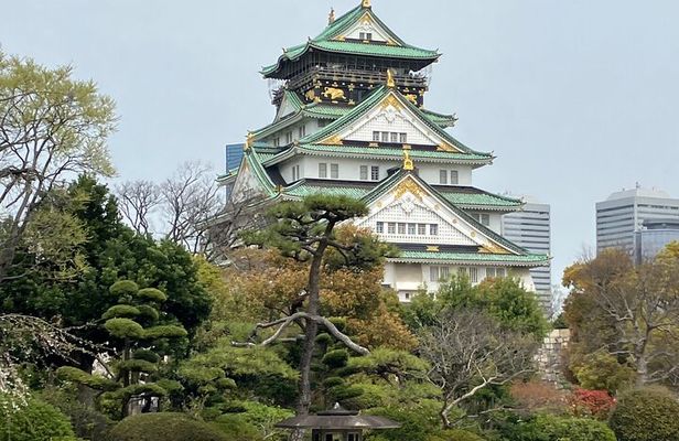 Private Osaka Tour with Hotel Meet Up