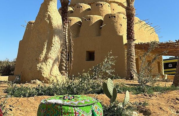 El Fayoum Oasis and Wadi Rayan Waterfall Private Tour from Cairo