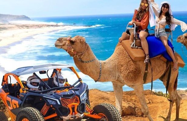 Fun Camel Ride and UTV COMBO with Tequila Tasting!
