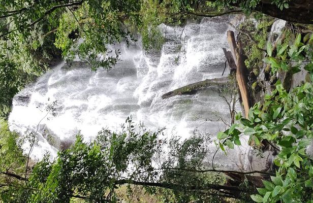 Rincon volcano hike +Waterfall swim + Hot springs+ lunch buffet