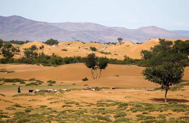 Immersive Mongolian Gobi experience, Camel, Cousine, Stargaze, 2D