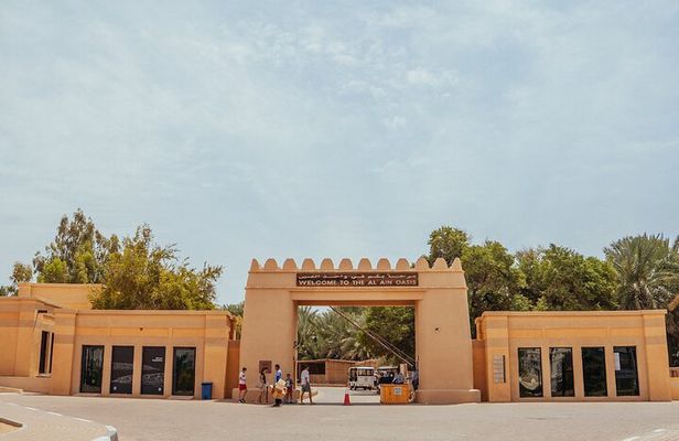 Experience the Oasis City: Al Ain Tour with Lunch"