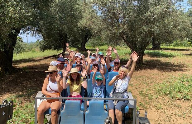 Private Half Day Oil Tour in Limbadi