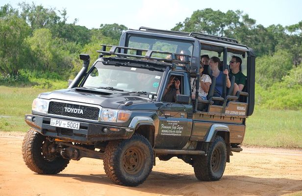 Yala National Park Safari : Special Guided Tour