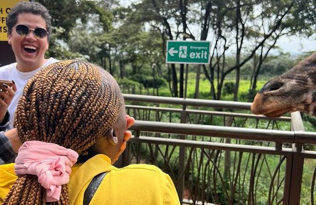 3 Days Private Maasai Mara Safari