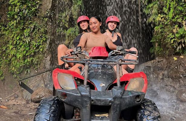 Private Guided Bali Swing and Waterfall Tour with ATV Quad Bike