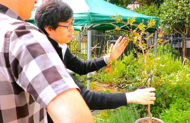 Bonsai Art Tour & Experience in Japan's Most Sacred "Bonsai City"