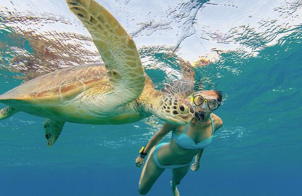 Abu Dabbab Semi Private Snorkeling with Lunch & Transfer Hurghada