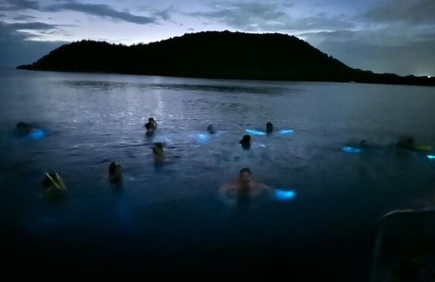 Bio Bay Swimming Experience with Boat Transport from La Parguera
