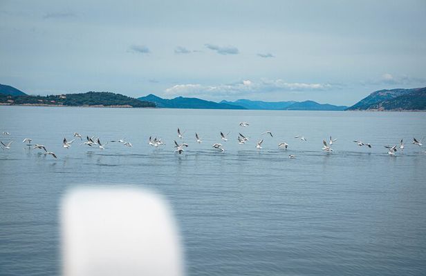 Dubrovnik: Full Day Three Islands Boat Tour with Optional Lunch
