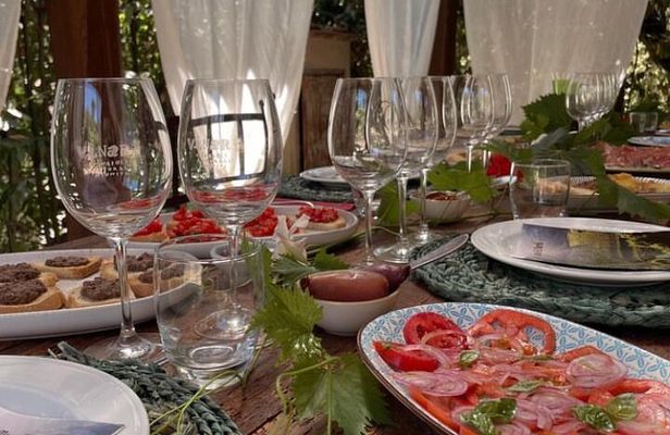 Lucca - Wine tasting at Tenuta Mareli