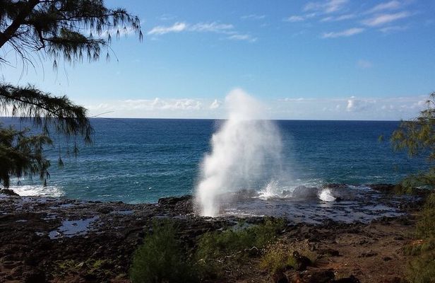 Kauai Shore Excursion - Waimea Canyon Adventure Tour - Nawiliwili