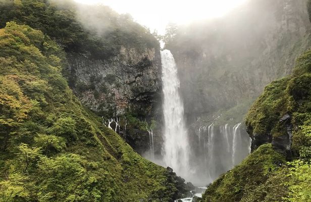 "All Inclusive・Private Tour" Exploring Nikko on your preferences